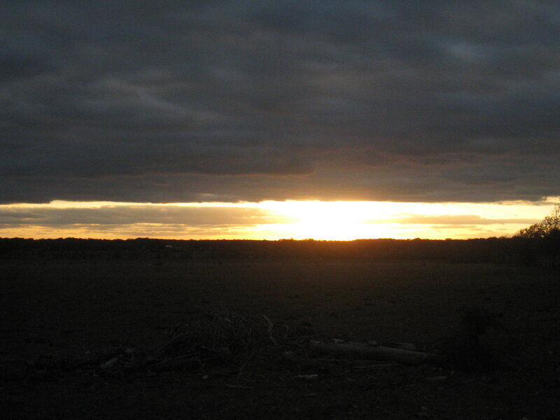 Sunset over Field — Gray