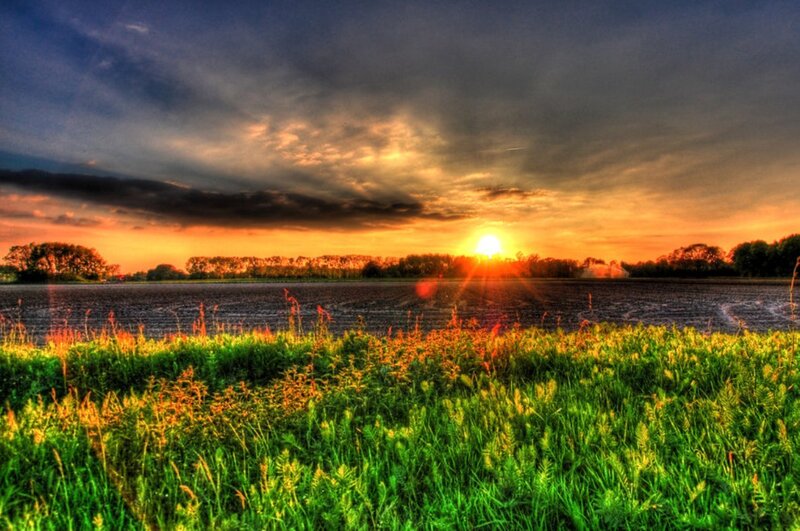 Sunset over Field — Green