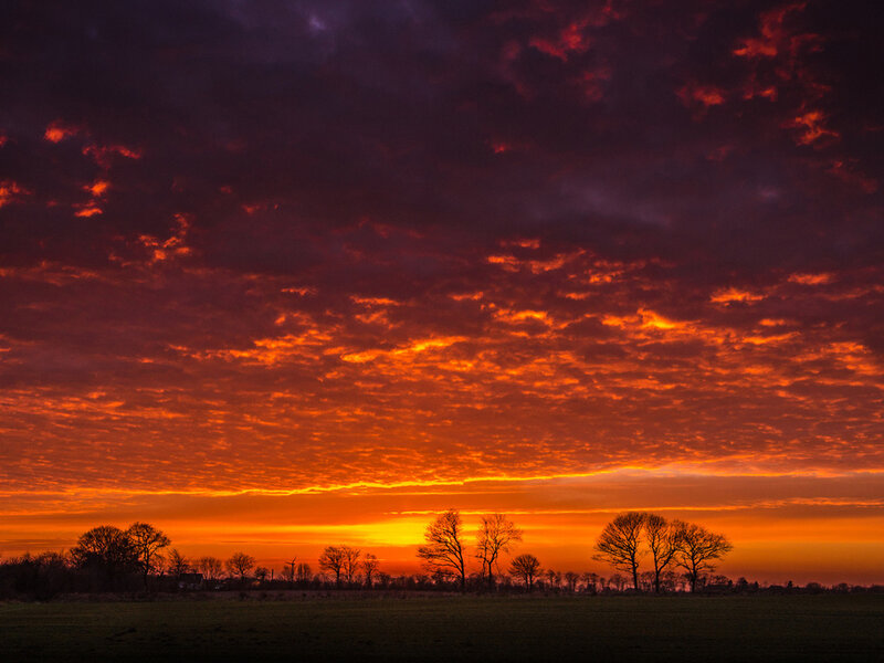Sunset over Field — Orange, Dramatic, Photograph, Trees, Clouds