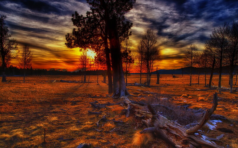 Sunset over Field — Orange, Dramatic, Photograph, Trees