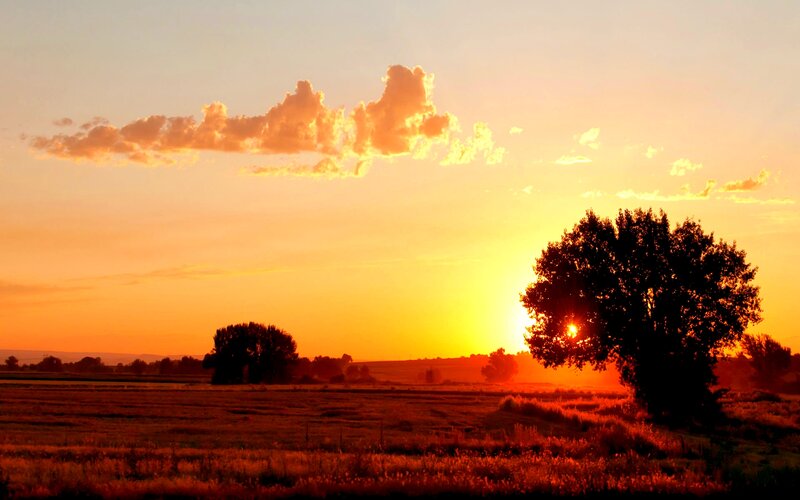 Sunset over Field — Orange, Serene, Photograph