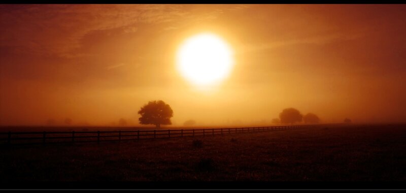 Sunset over Field — Orange, Serene, Photograph, Tree
