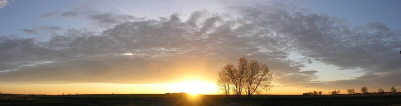 Sunset over Field — Orange, Serene, Photograph, Trees, Clouds