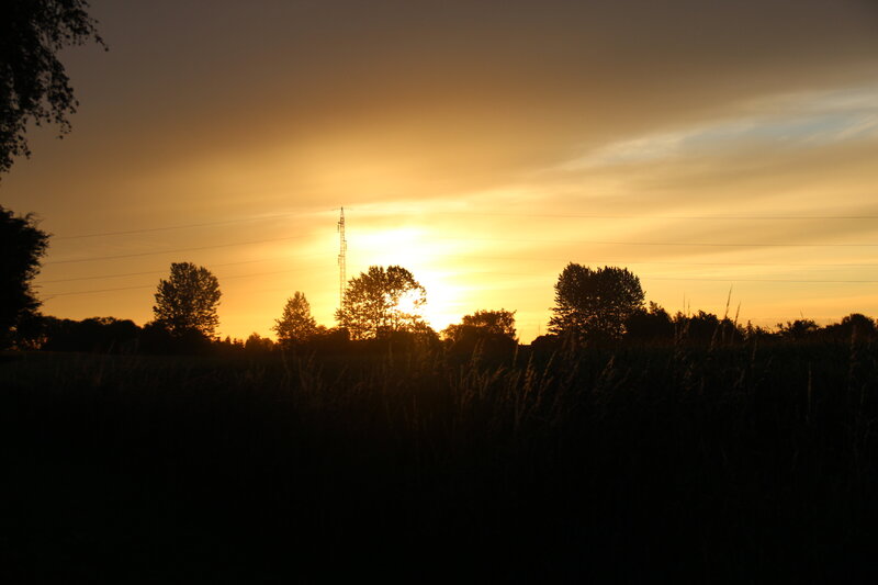 Sunset over Field — Orange, Serene, Photograph, Trees