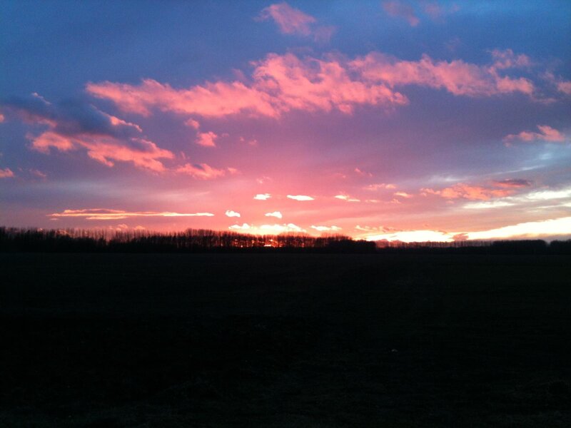Sunset over Field — Pink