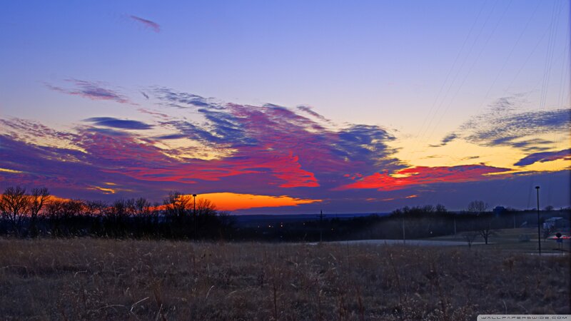 Sunset over Field — Purple