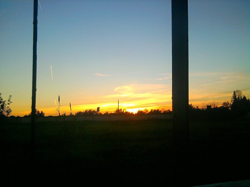 Sunset over Field