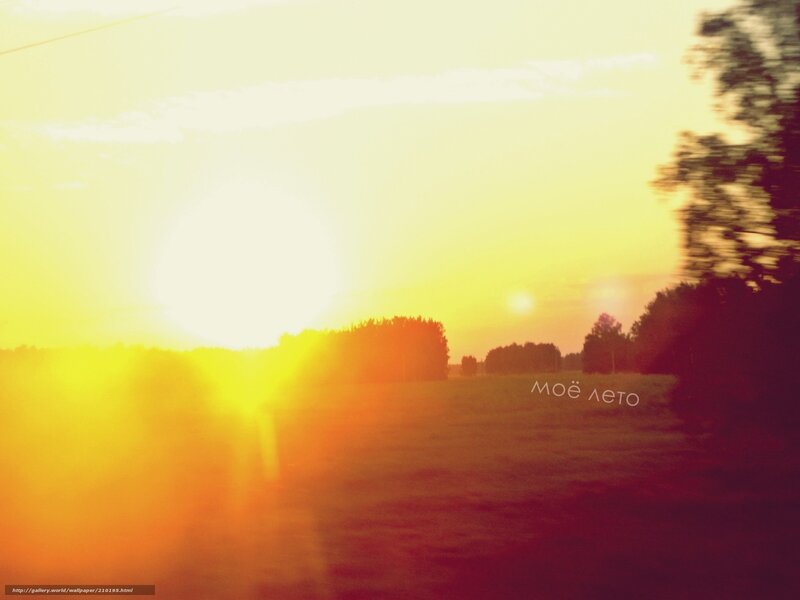 Sunset over Field — Yellow, Warm