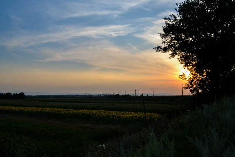 Sunset over Fields — Blue, Serene
