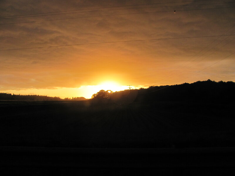 Sunset over Fields — Orange, Dramatic, Photograph, Trees