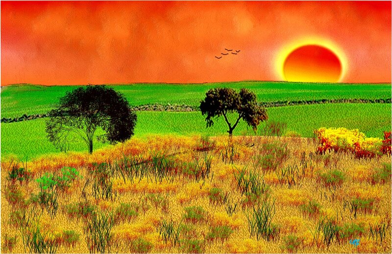 Sunset over Fields — Orange, Serene