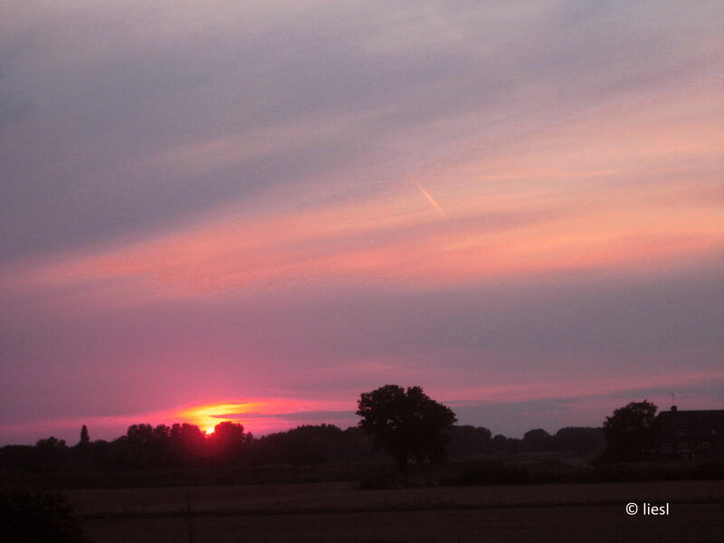 Sunset over Fields — Pink