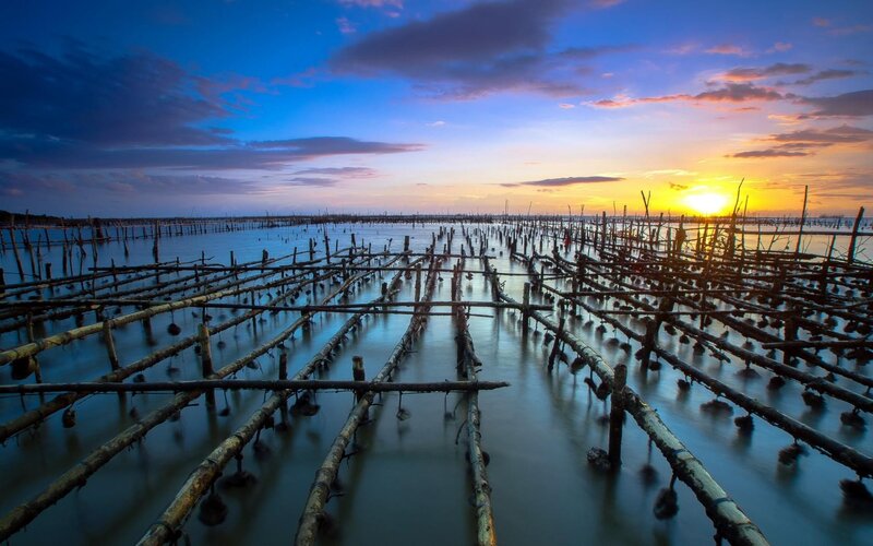 Sunset over fishing nets