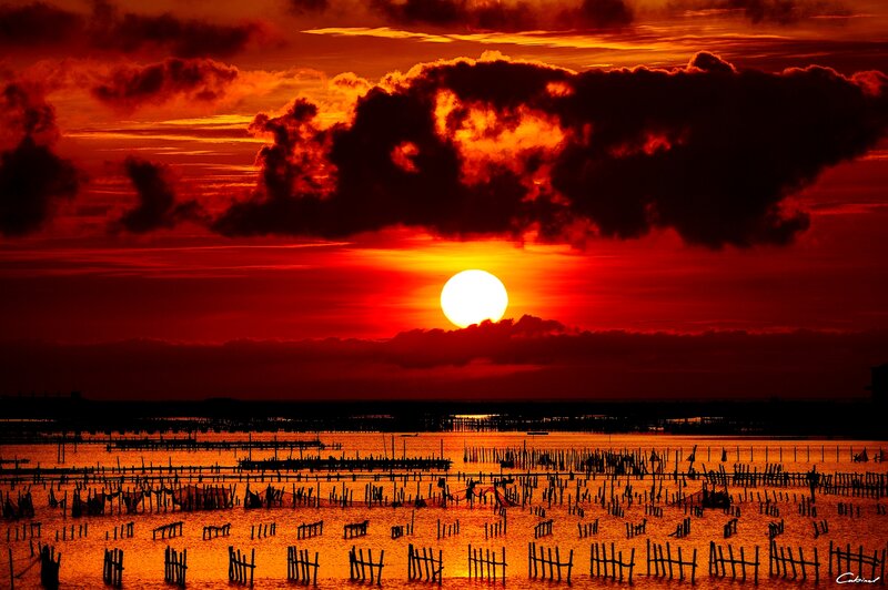 Sunset over Fishing Nets — Red