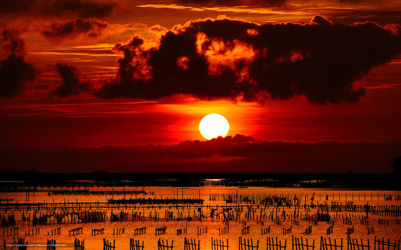 Sunset over Fishing Poles — Red