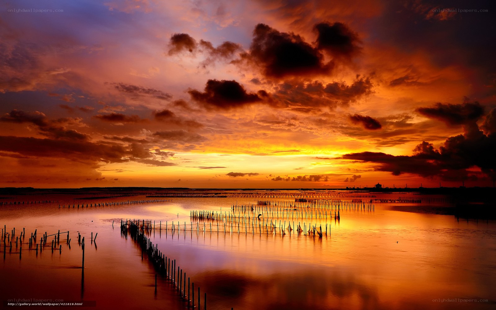 Sunset over fishing stakes