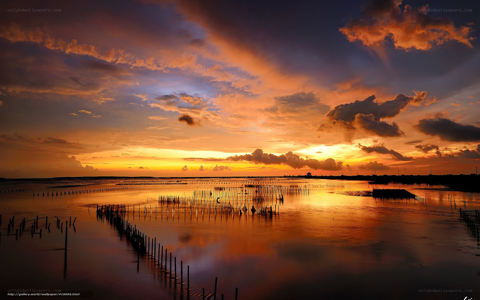 Sunset over fishing stakes