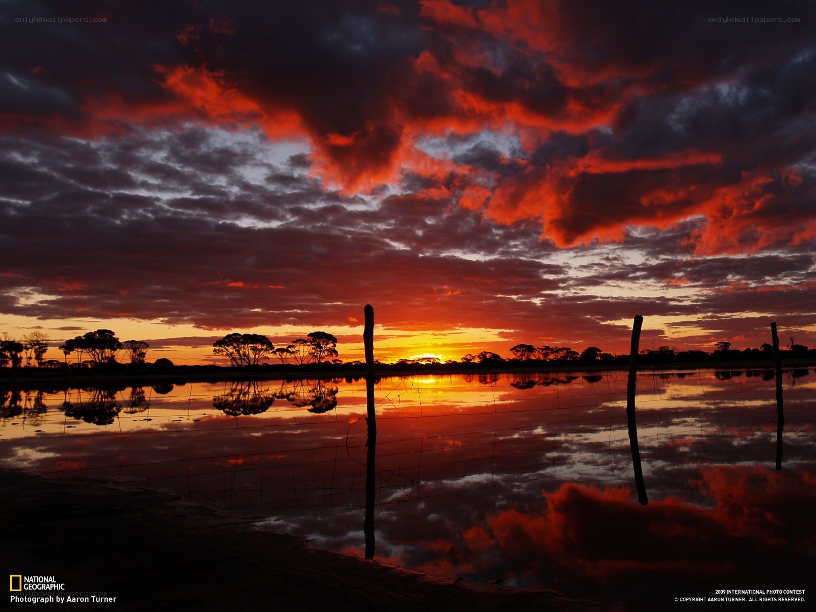 Sunset over flooded field