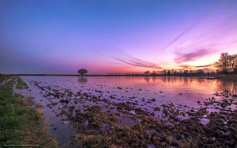 Sunset over flooded field