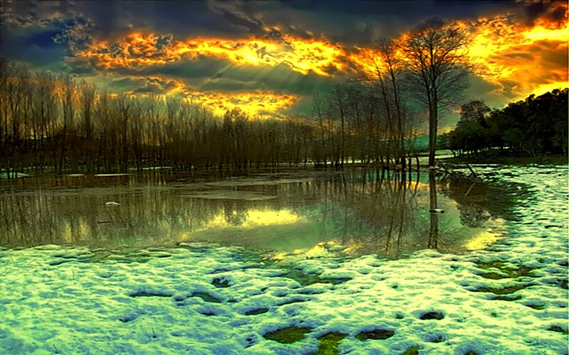 Sunset over flooded forest