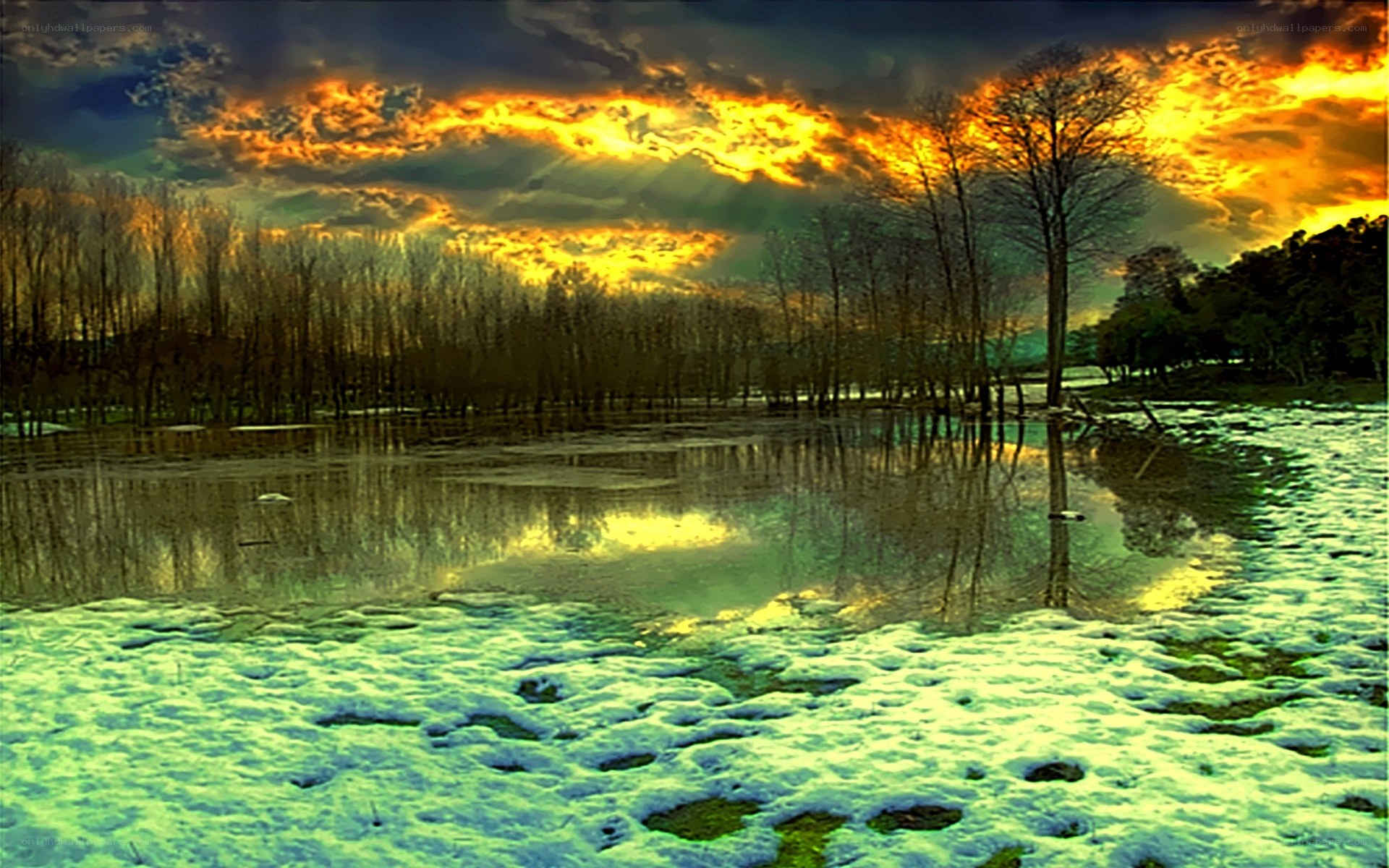Sunset over flooded forest