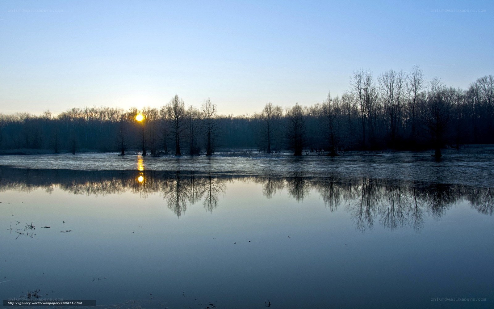 Sunset over flooded forest