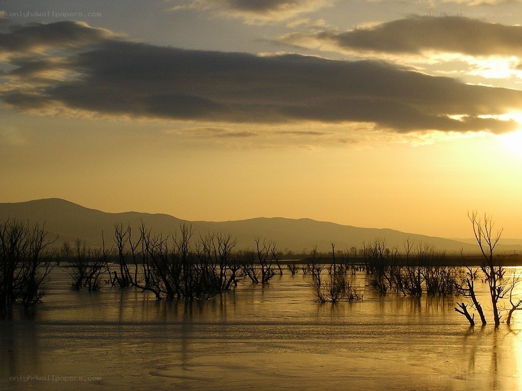 Sunset over flooded landscape
