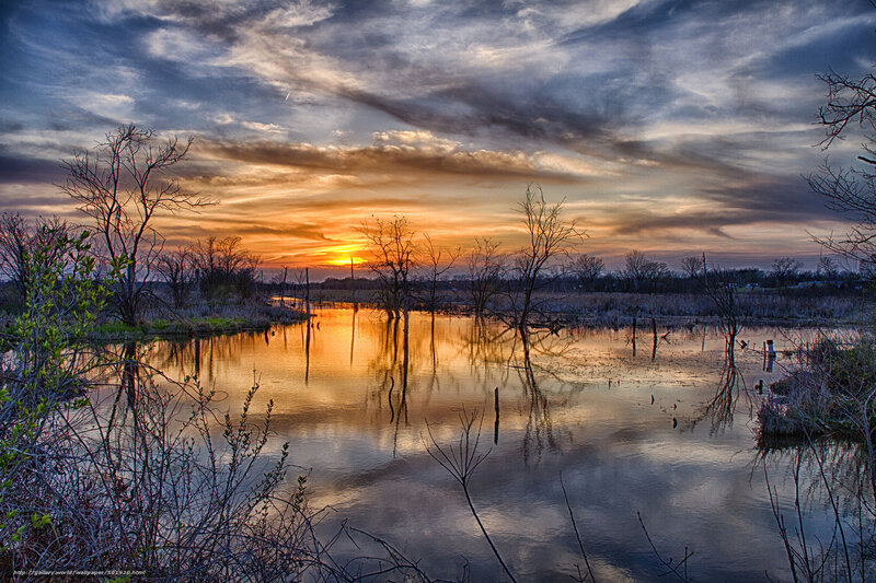 Sunset over Flooded Marsh — Orange