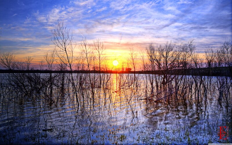 Sunset over Flooded Trees — Blue