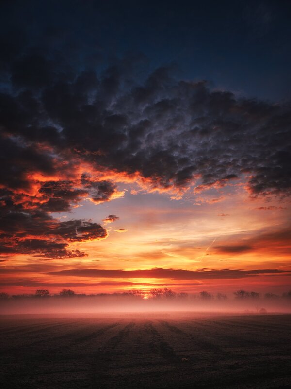 Sunset over Foggy Field — Orange