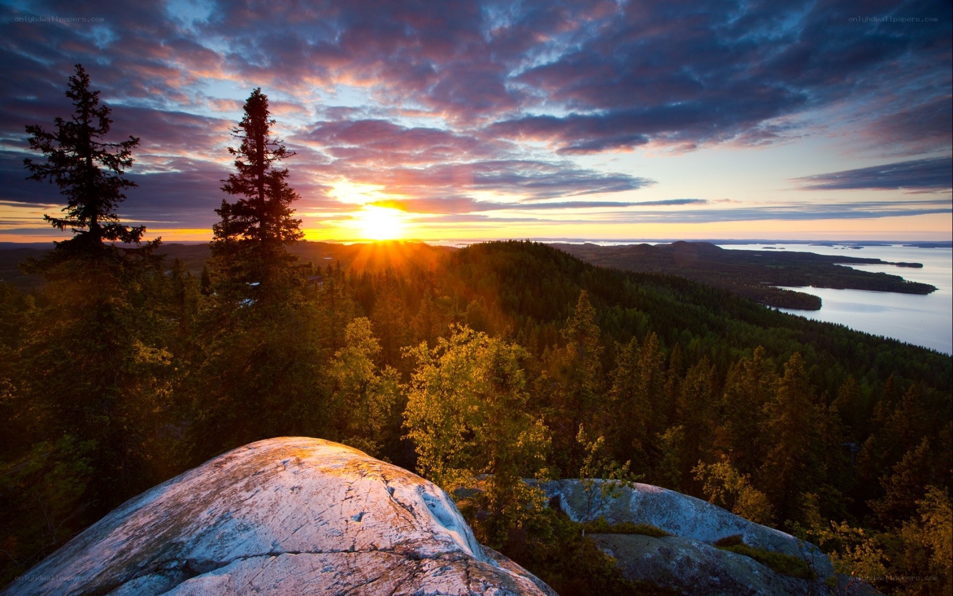 Sunset over forest and lake