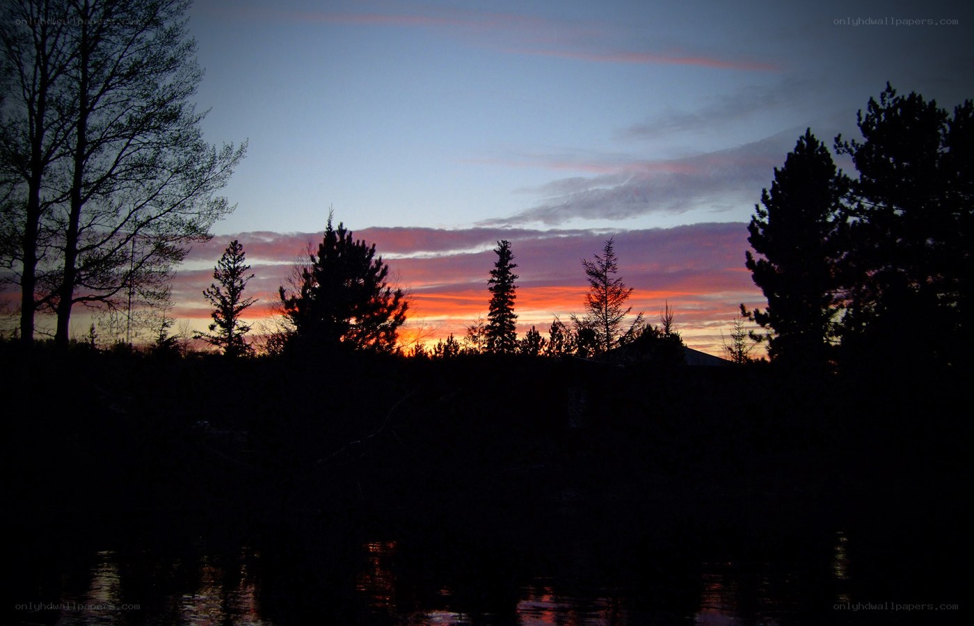 sunset over forest and lake