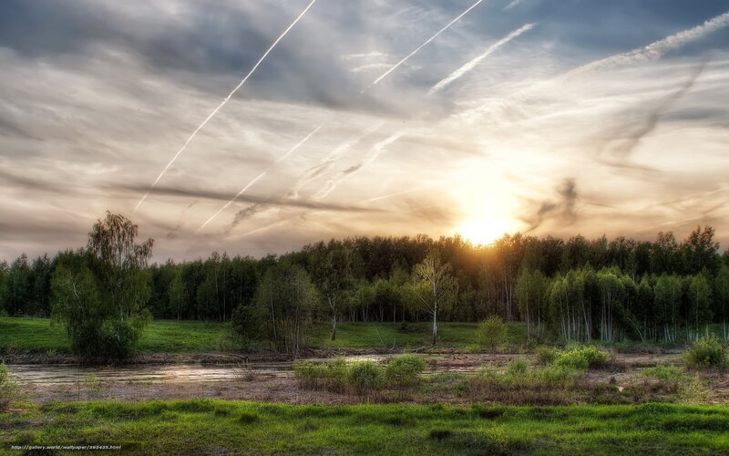 Sunset over Forest and Pond