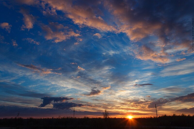 Sunset over Forest — Blue, Dramatic