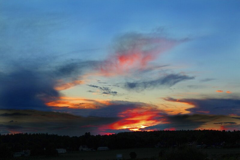 Sunset over Forest — Blue