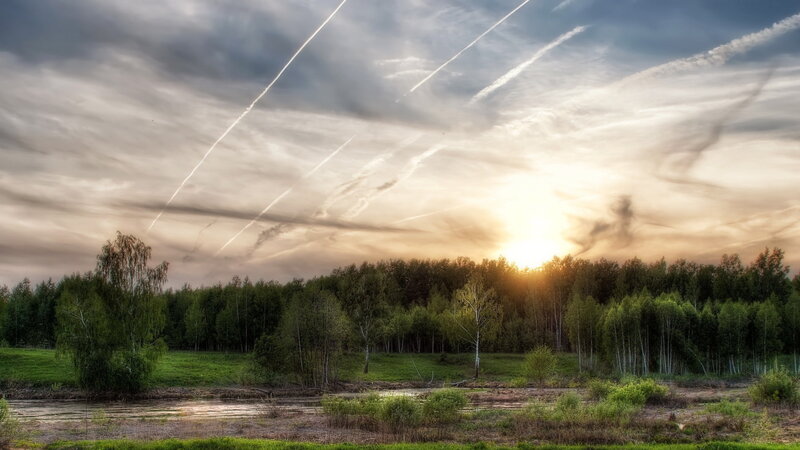 Sunset over Forest — Green