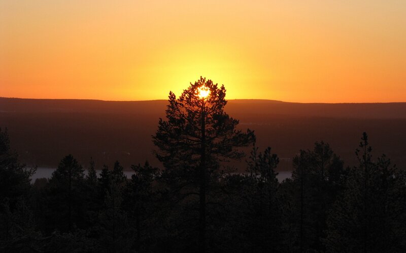 Sunset over forest hills