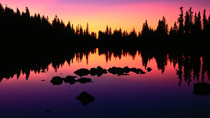 sunset over forest lake
