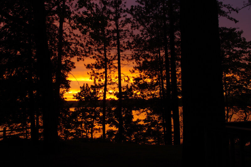 sunset over forest lake