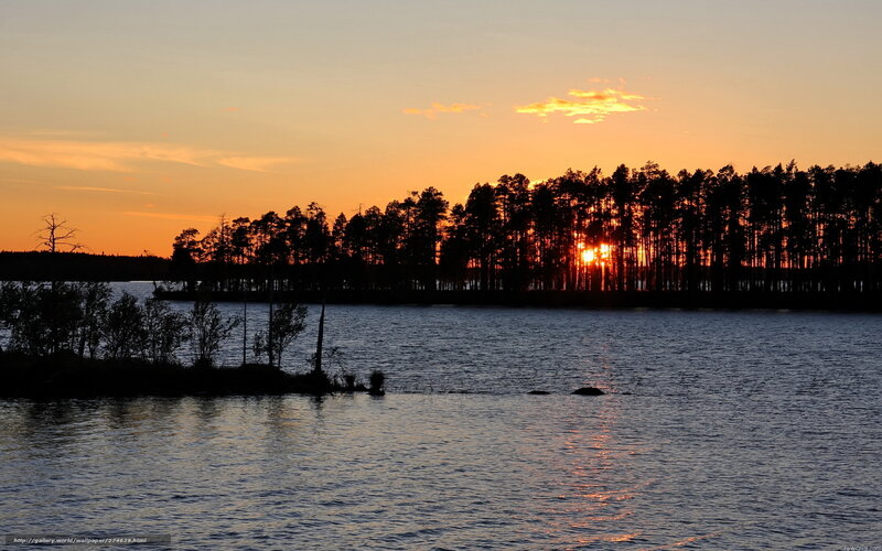 sunset over forest lake