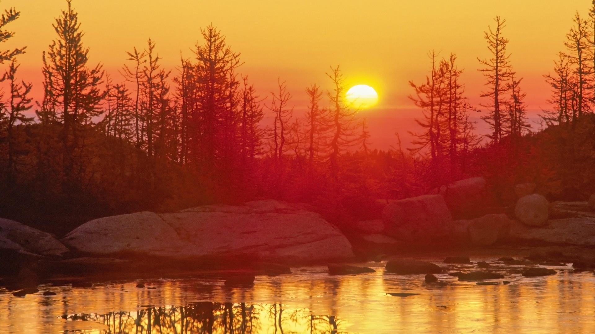 sunset over forest lake