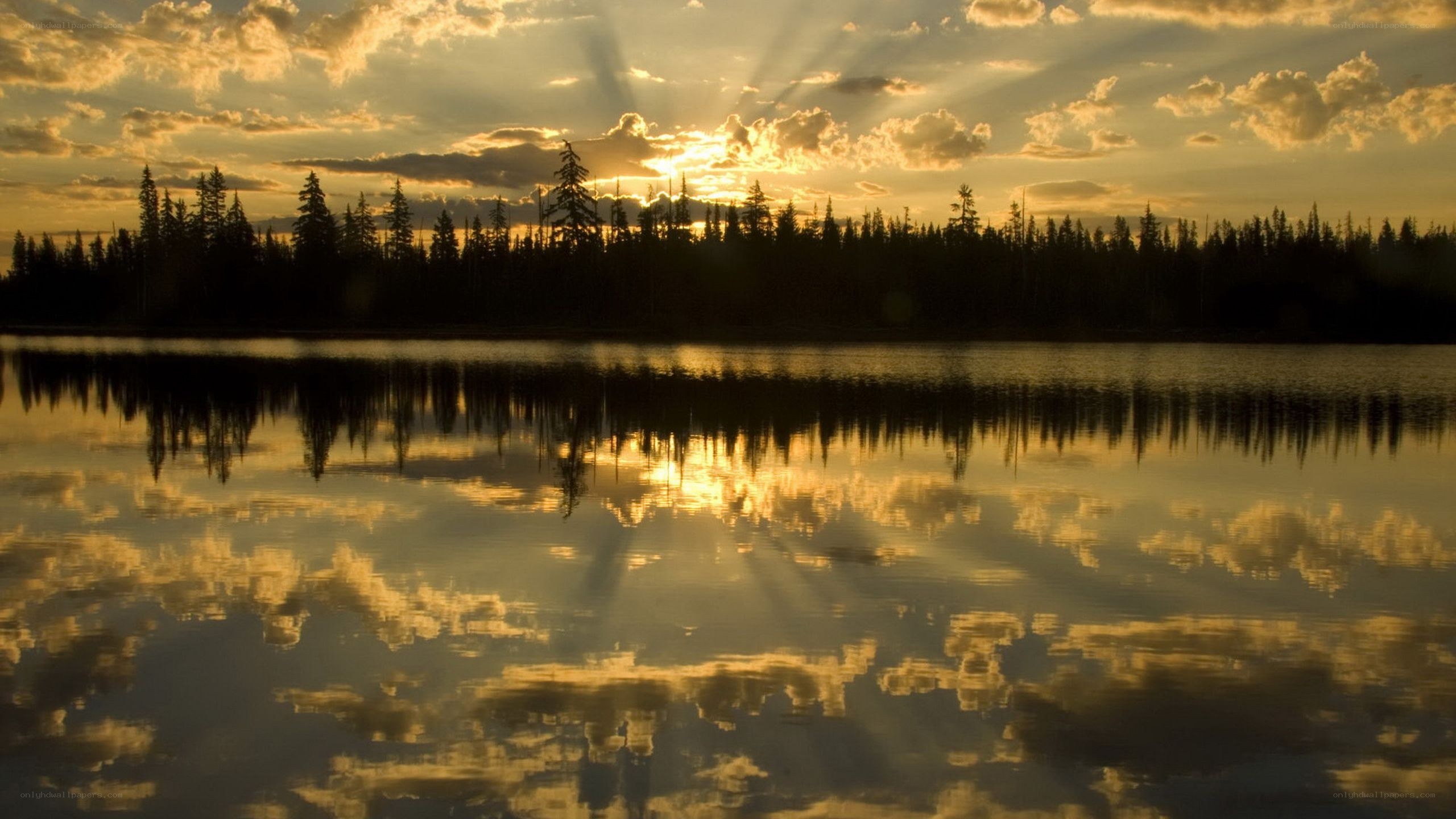 Sunset over forest lake
