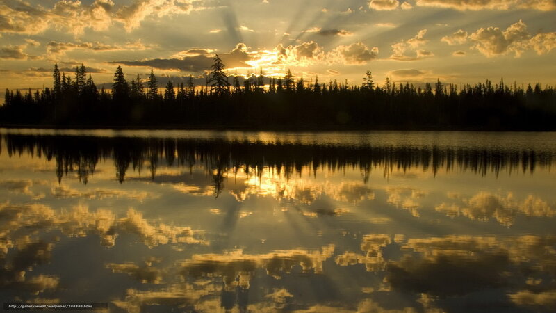 Sunset over Forest Lake — Gold, Serene
