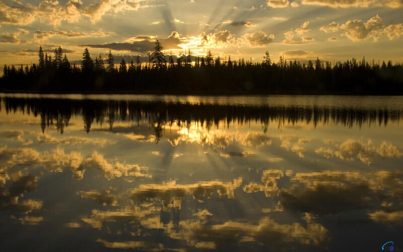 Sunset over Forest Lake — Gold
