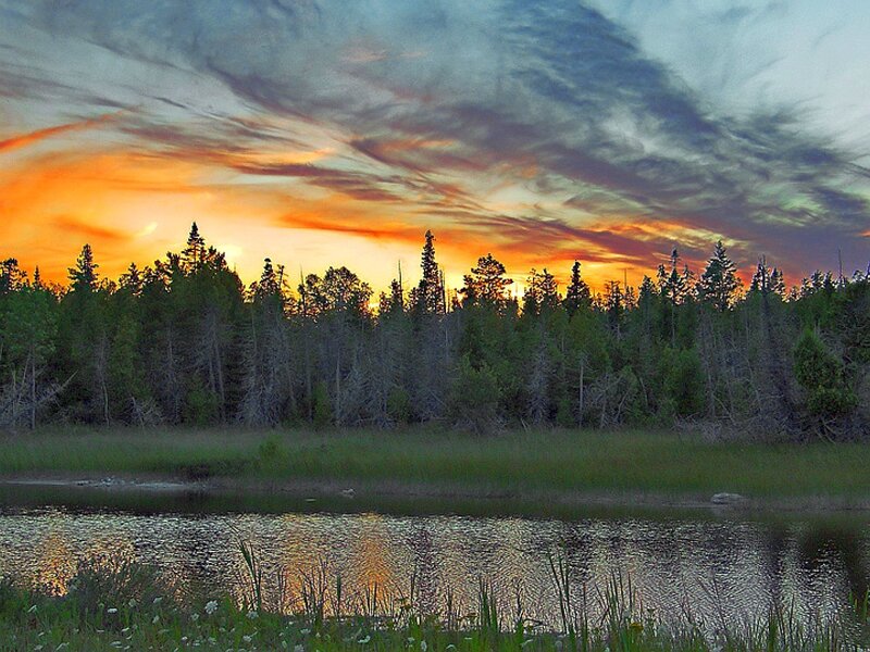 Sunset over Forest Lake — Orange