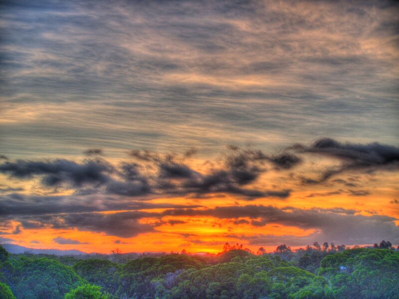 Sunset over Forest — Orange, Dramatic, Photograph, Clouds