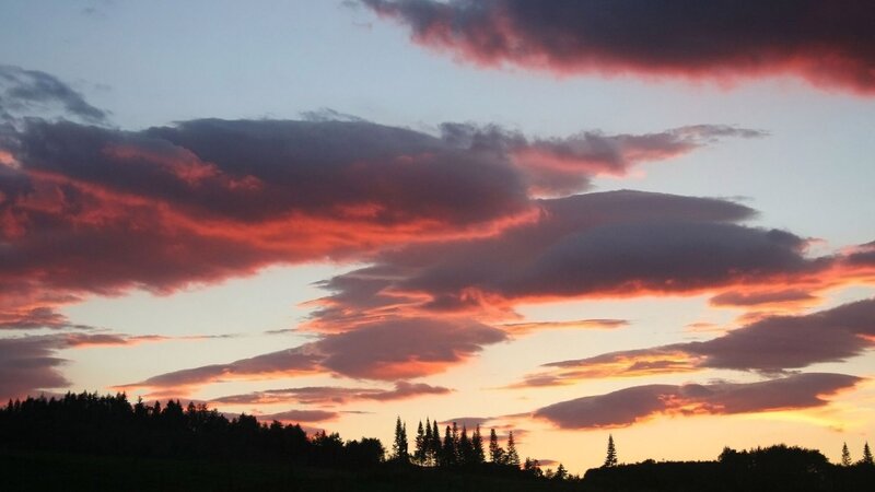 Sunset over Forest — Orange, Dramatic, Photograph, Clouds, Trees, Sky