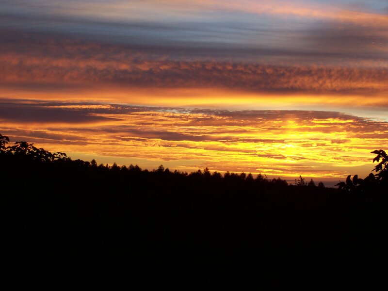 Sunset over Forest — Orange, Dramatic, Photograph, Clouds, Trees