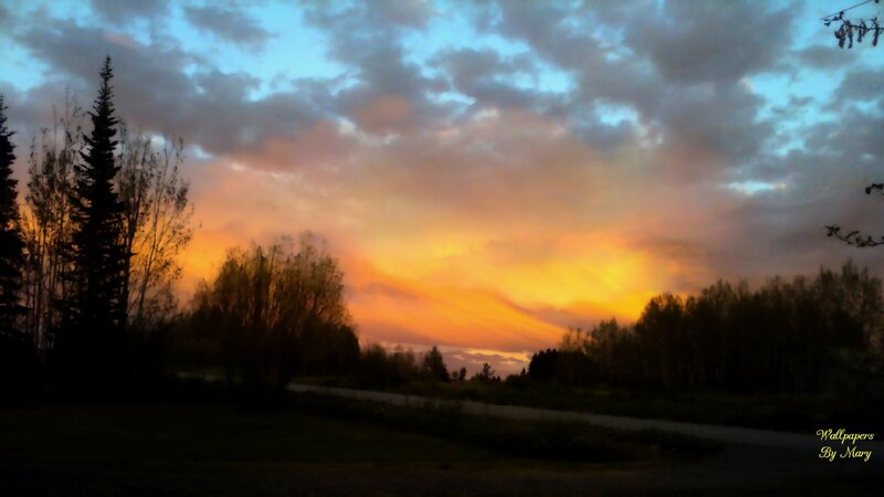 Sunset over Forest — Orange, Dramatic, Photograph, Trees, Road