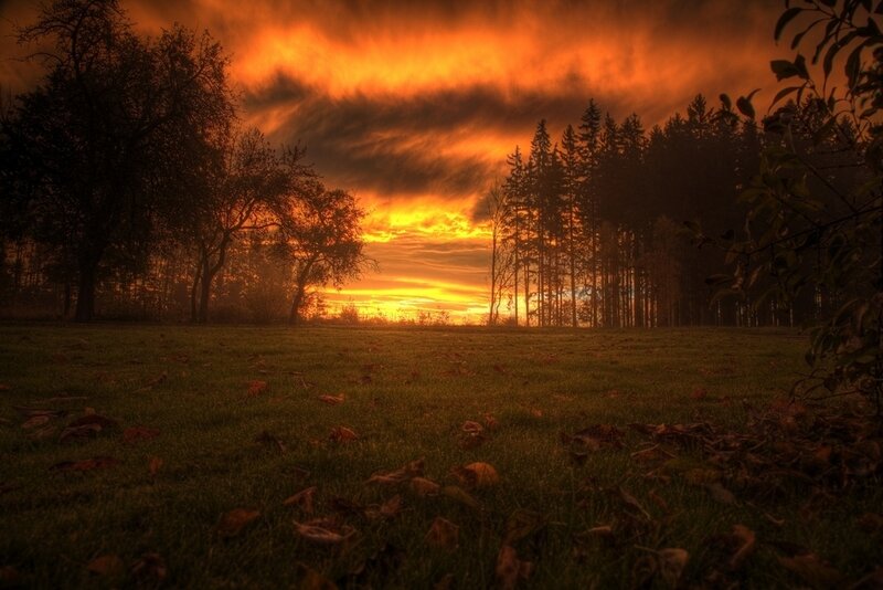 Sunset over Forest — Orange, Dramatic